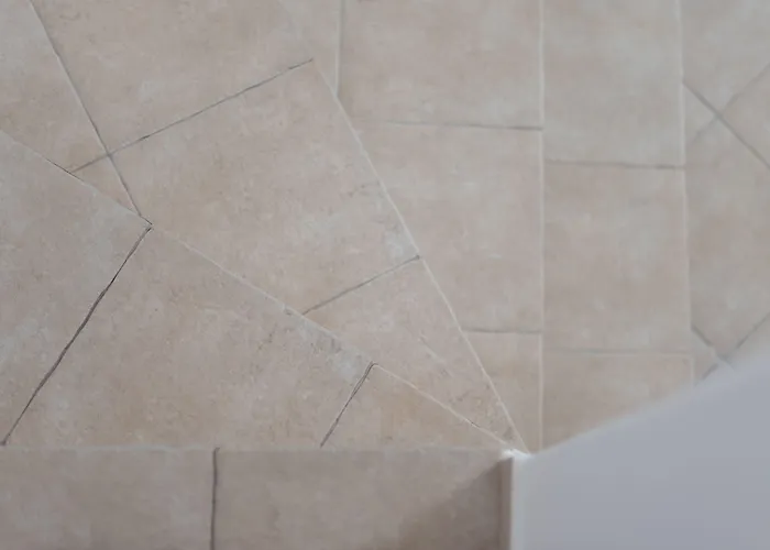 فيلة كاثاروس بول *