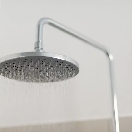 كاثاروس بول فيلة أويا