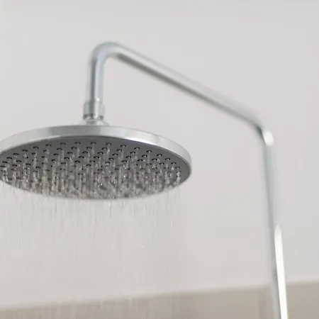 كاثاروس بول * أويا